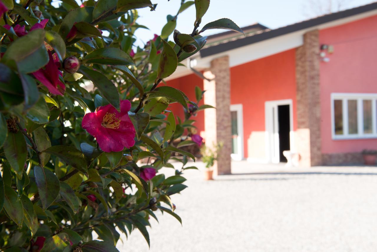 Tenuta La Vigna Malgesso Eksteriør billede